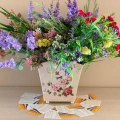 Гостевой дом Leo Grand, Адлер, Краснодарский край