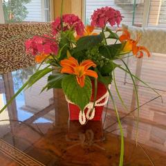 Гостевой дом Leo Grand, Адлер, Краснодарский край