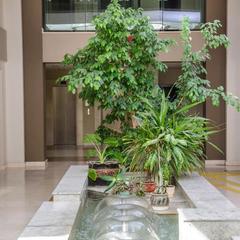 Пансионат Изумруд, Адлер, Краснодарский край