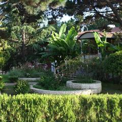 Пансионат Изумруд, Адлер, Краснодарский край