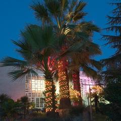 Пансионат Изумруд, Адлер, Краснодарский край