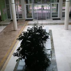 Пансионат Изумруд, Адлер, Краснодарский край