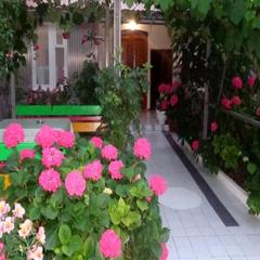 Гостевой дом Сабрина, Адлер, Краснодарский край