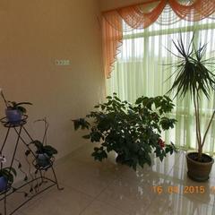 Гостевой дом Колибри, Адлер, Краснодарский край