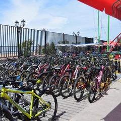 Гостевой дом Колибри, Адлер, Краснодарский край