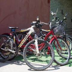 Гостевой дом Яна, Адлер, Краснодарский край