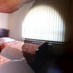 Гостевой дом Никос, Адлер, Краснодарский край