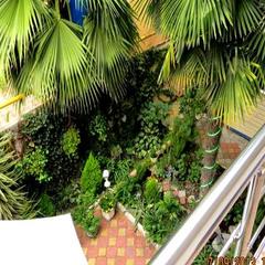 Гостевой дом Лиственница, Адлер, Краснодарский край