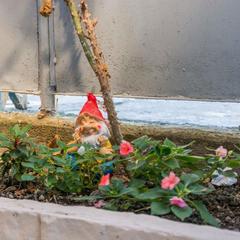 Гостевой дом Закат, Адлер, Краснодарский край