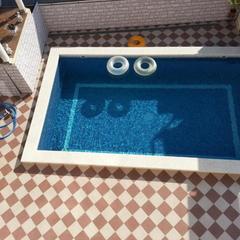 Гостевой дом Никос, Адлер, Краснодарский край