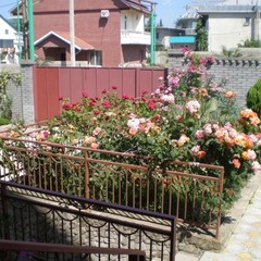 Отель Планета-МОВ, Адлер, Краснодарский край