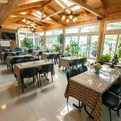 Гостевой дом Дельфин, Адлер, Краснодарский край