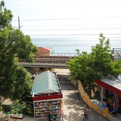 Гостевой дом Дельфин, Адлер, Краснодарский край