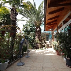 Гостевой дом Дельфин, Адлер, Краснодарский край