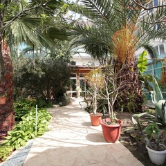 Гостевой дом Дельфин, Адлер, Краснодарский край