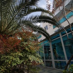 Гостевой дом Дельфин, Адлер, Краснодарский край