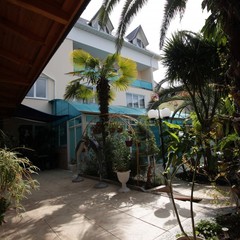 Гостевой дом Дельфин, Адлер, Краснодарский край