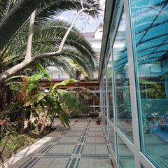 Гостевой дом Дельфин, Адлер, Краснодарский край