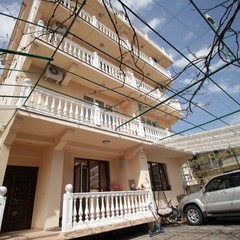 Гостевой дом Дельфин, Адлер, Краснодарский край