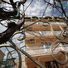 Гостевой дом Дельфин, Адлер, Краснодарский край