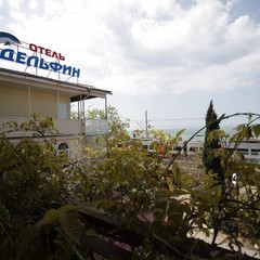 Гостевой дом Дельфин, Адлер, Краснодарский край