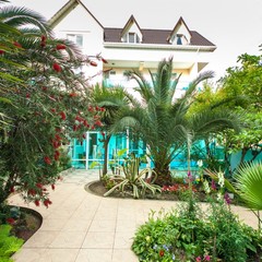 Гостевой дом Дельфин, Адлер, Краснодарский край