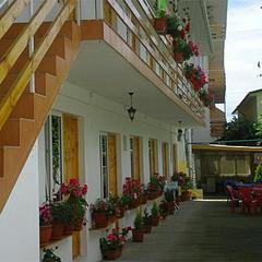 Гостевой дом Дельфинчик, Адлер, Краснодарский край