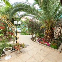 Гостевой дом Дельфин, Адлер, Краснодарский край