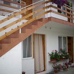 Гостевой дом Дельфинчик, Адлер, Краснодарский край