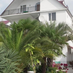 Отель Луч, Адлер, Краснодарский край