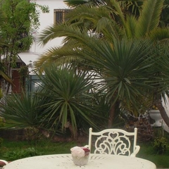 Отель Луч, Адлер, Краснодарский край