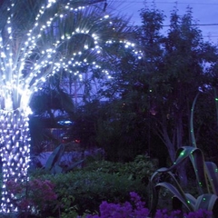 Отель Луч, Адлер, Краснодарский край