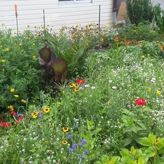 Гостевой дом на Гиацинтовой, Адлер, Краснодарский край