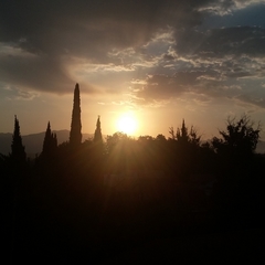 Гостевой дом на Гиацинтовой, Адлер, Краснодарский край