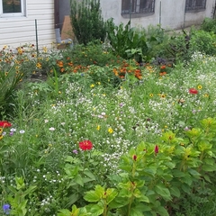 Гостевой дом на Гиацинтовой, Адлер, Краснодарский край