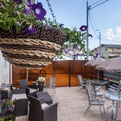 Гостевой дом ТриАрт, Адлер, Краснодарский край