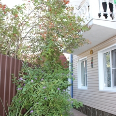 Гостиница Колибри на Просвещения, Адлер, Краснодарский край