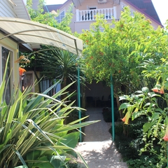 Гостиница Колибри на Просвещения, Адлер, Краснодарский край