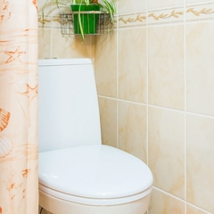 Хостел Олимп, Адлер, Краснодарский край