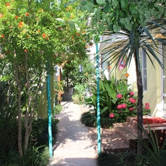 Гостиница Колибри на Просвещения, Адлер, Краснодарский край