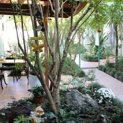 Гостиница Колибри на Просвещения, Адлер, Краснодарский край