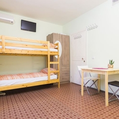 Хостел Олимп, Адлер, Краснодарский край