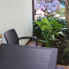 Гостиница Колибри на Просвещения, Адлер, Краснодарский край