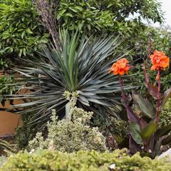 Гостевой дом Барса, Адлер, Краснодарский край