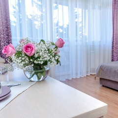 Отель LIBERTY FLY, Адлер, Краснодарский край