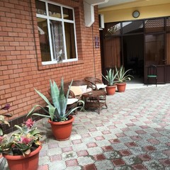 Гостевой дом Алгор, Адлер, Краснодарский край