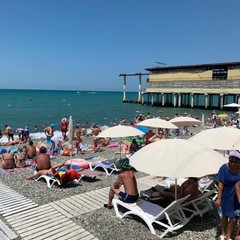 Гостевой дом Алгор, Адлер, Краснодарский край