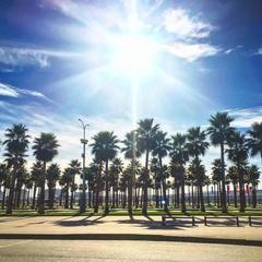 Отель Богородск Олимпийский пляж Сочи, Адлер, Краснодарский край