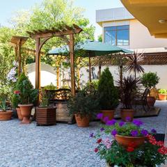 Отель Лаура, Адлер, Краснодарский край