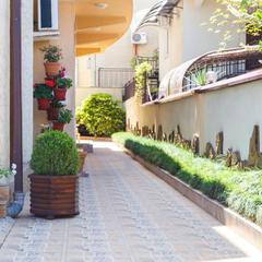 Отель Лаура, Адлер, Краснодарский край